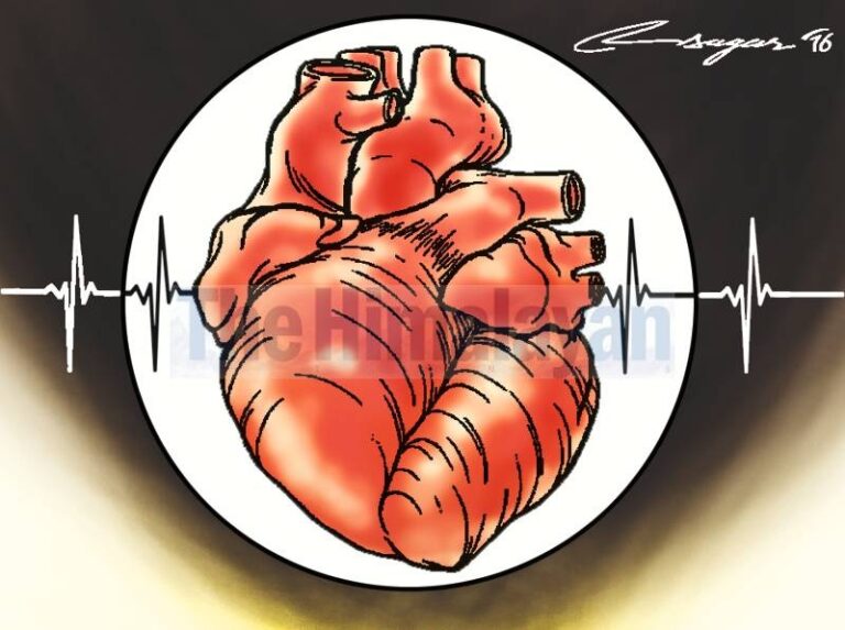 SEA-HEARTS to reduce cardiovascular diseases in WHO South-East Asia Region
