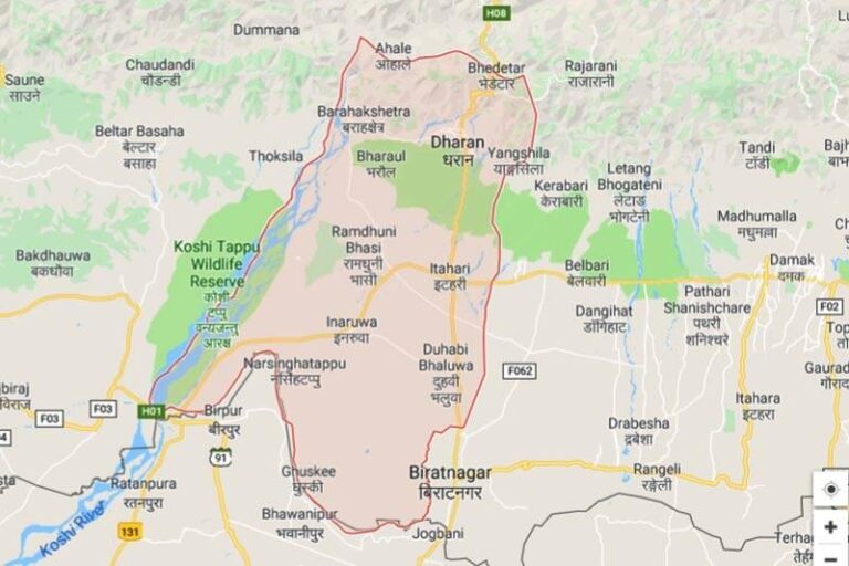 Two die in separate road accidents in Sunsari